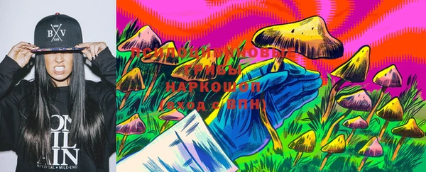 МДПВ Аша
