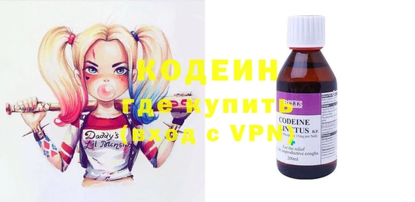 хмурый Апатиты