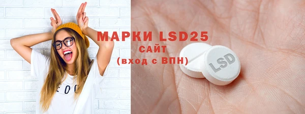 хмурый Апатиты