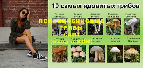 хмурый Апатиты