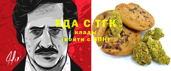 МДПВ Аша