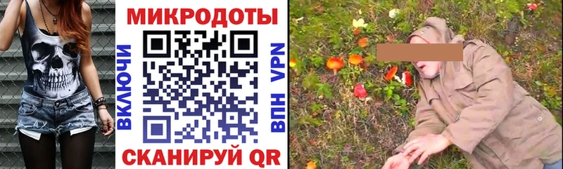 Галлюциногенные грибы Psilocybe Кизел