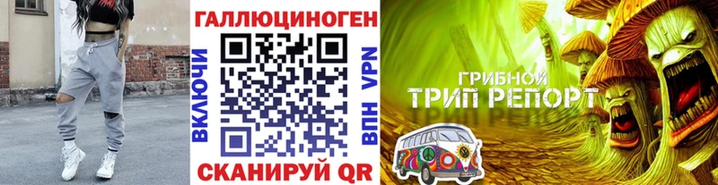 Галлюциногенные грибы Magic Shrooms  Кизел 